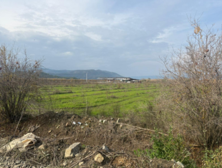 Field Land For Sale In Tepearası