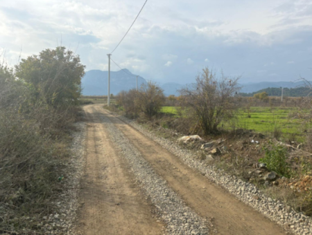 Field Land For Sale In Tepearası