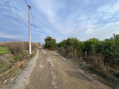 Field Land For Sale In Tepearası