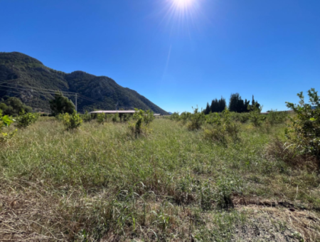 Lovely Field Plot In Arik Bası