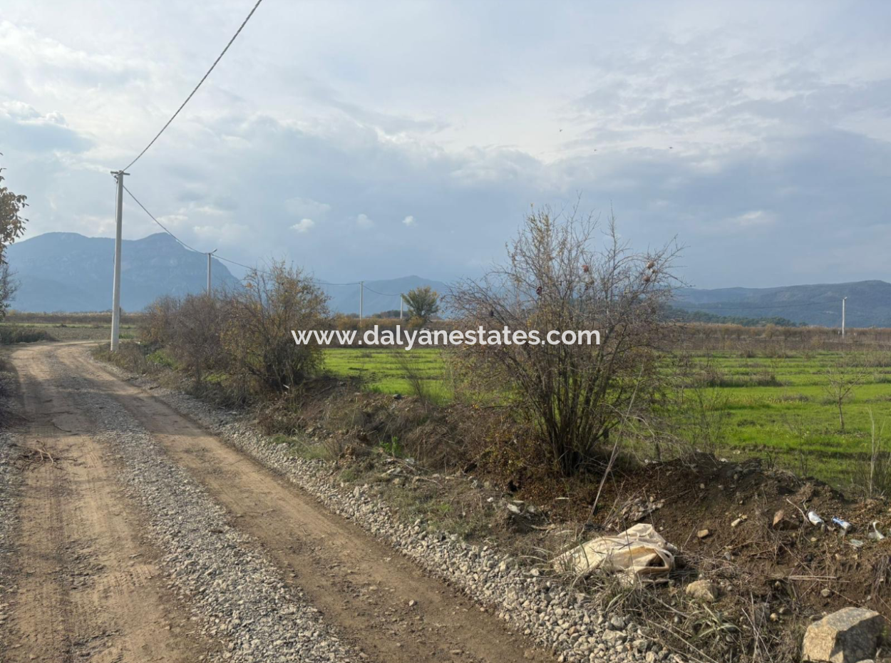 Field Land For Sale In Tepearası