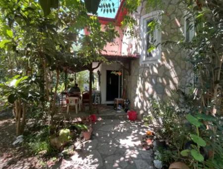 Woodland Home In Dalyan