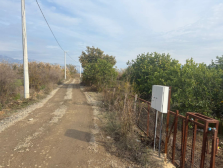 Field Land For Sale In Tepearası