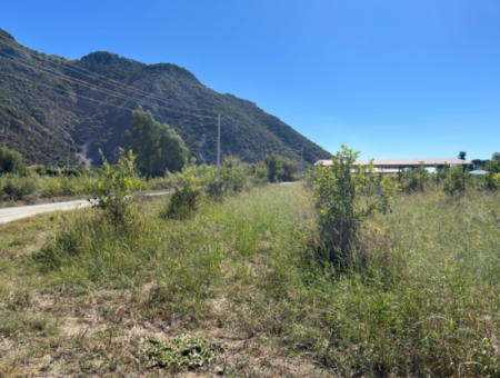 Lovely Field Plot In Arik Bası