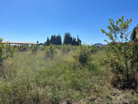 Lovely Field Plot In Arik Bası